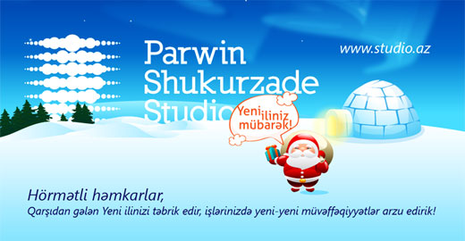 Parwin Shukurzade Studio